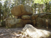 Naturpark Heidenreichsteiner Moor I